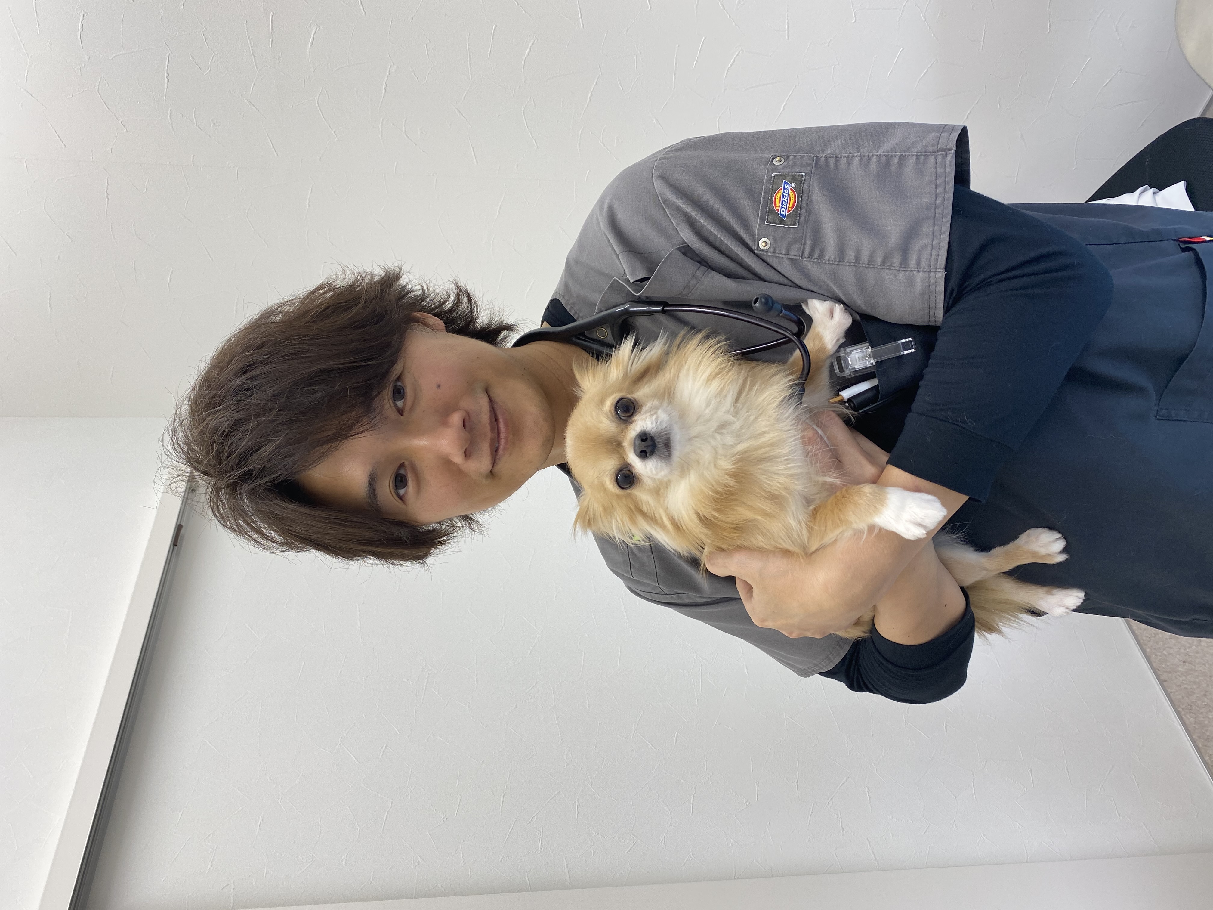 Vetical動物病院 ペット向けオンライン相談 診療システムのみるペット